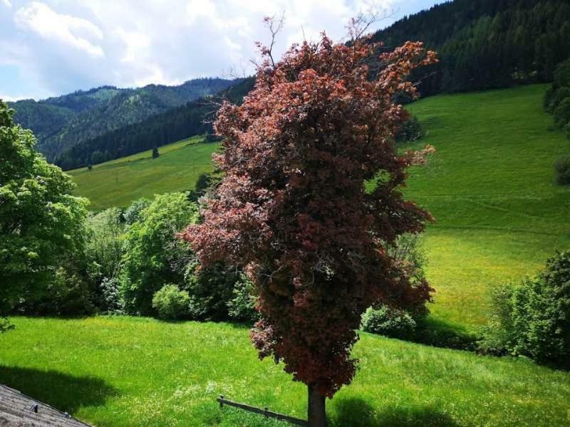 Haus Elsasser Sankt Johann am Tauern 외부 사진